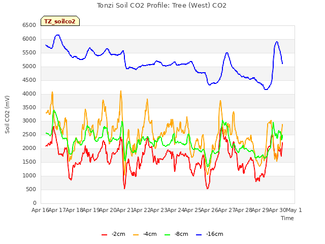 plot of Tonzi Soil CO2 Profile: Tree (West) CO2