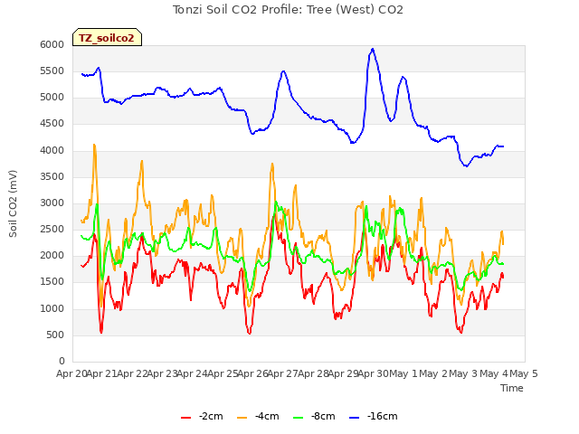 plot of Tonzi Soil CO2 Profile: Tree (West) CO2