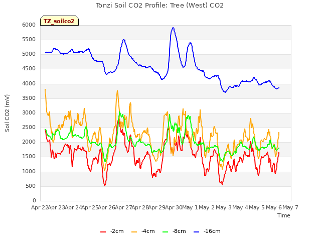 plot of Tonzi Soil CO2 Profile: Tree (West) CO2