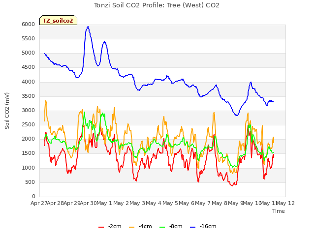 plot of Tonzi Soil CO2 Profile: Tree (West) CO2