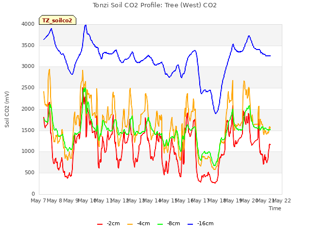 plot of Tonzi Soil CO2 Profile: Tree (West) CO2