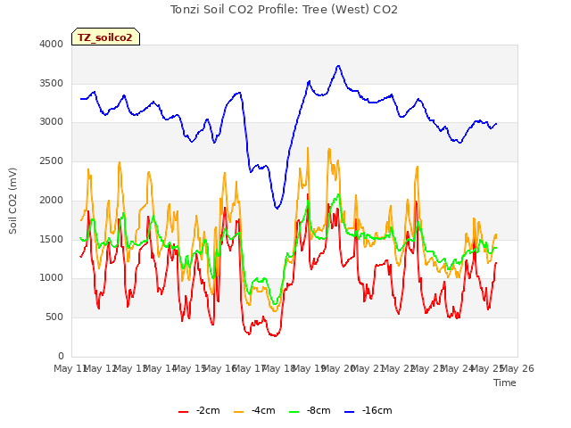 plot of Tonzi Soil CO2 Profile: Tree (West) CO2
