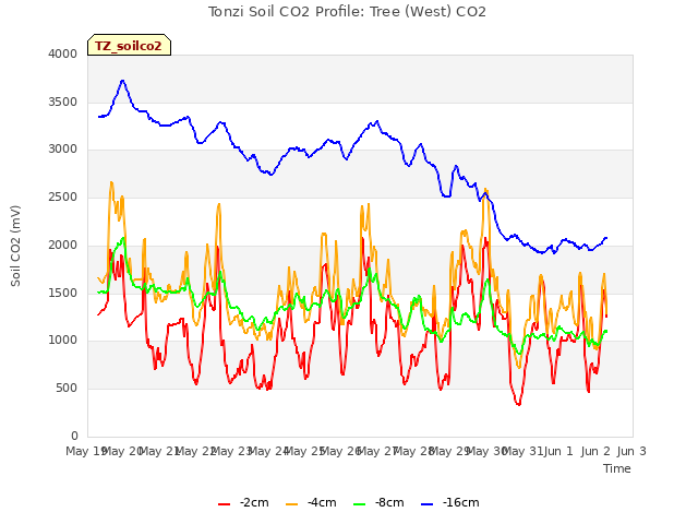 plot of Tonzi Soil CO2 Profile: Tree (West) CO2