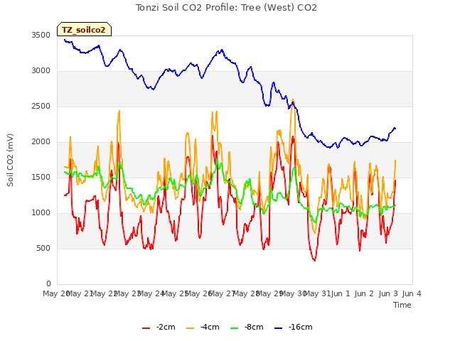 plot of Tonzi Soil CO2 Profile: Tree (West) CO2
