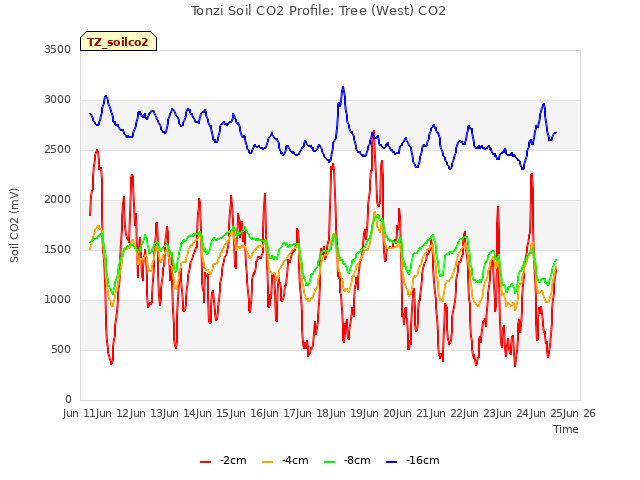 plot of Tonzi Soil CO2 Profile: Tree (West) CO2