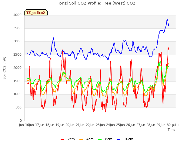 plot of Tonzi Soil CO2 Profile: Tree (West) CO2