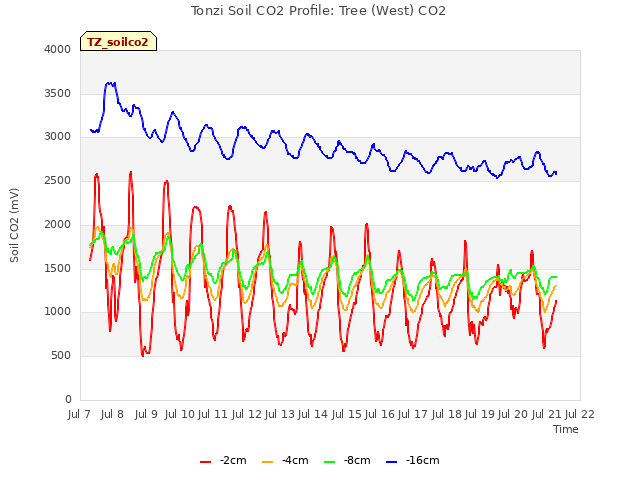 plot of Tonzi Soil CO2 Profile: Tree (West) CO2