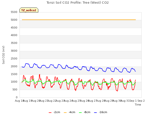 plot of Tonzi Soil CO2 Profile: Tree (West) CO2