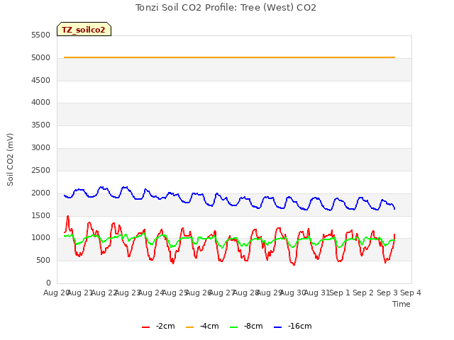 plot of Tonzi Soil CO2 Profile: Tree (West) CO2