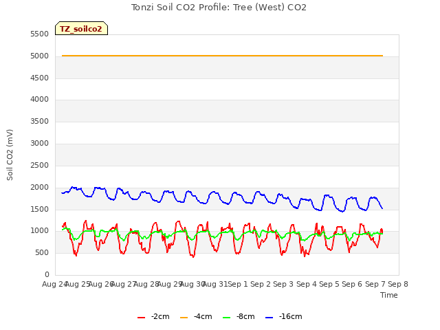 plot of Tonzi Soil CO2 Profile: Tree (West) CO2