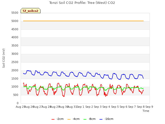 plot of Tonzi Soil CO2 Profile: Tree (West) CO2