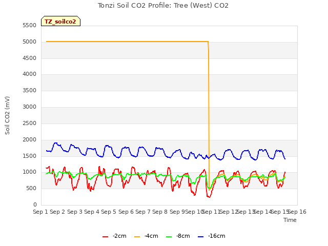 plot of Tonzi Soil CO2 Profile: Tree (West) CO2