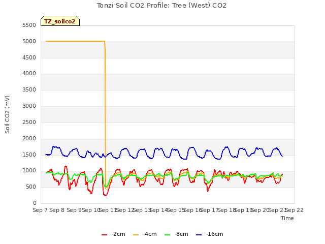 plot of Tonzi Soil CO2 Profile: Tree (West) CO2