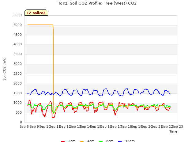 plot of Tonzi Soil CO2 Profile: Tree (West) CO2