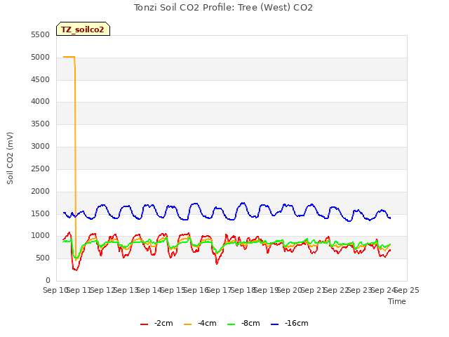 plot of Tonzi Soil CO2 Profile: Tree (West) CO2