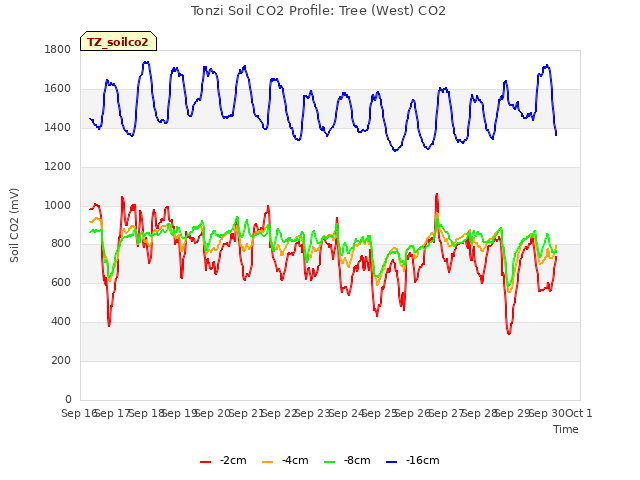 plot of Tonzi Soil CO2 Profile: Tree (West) CO2