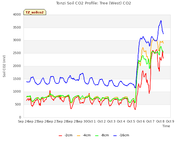 plot of Tonzi Soil CO2 Profile: Tree (West) CO2