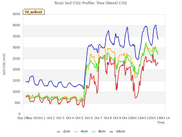 plot of Tonzi Soil CO2 Profile: Tree (West) CO2