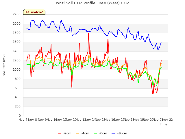 plot of Tonzi Soil CO2 Profile: Tree (West) CO2