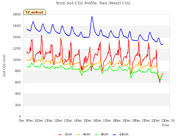 plot of Tonzi Soil CO2 Profile: Tree (West) CO2