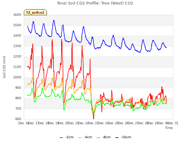 plot of Tonzi Soil CO2 Profile: Tree (West) CO2