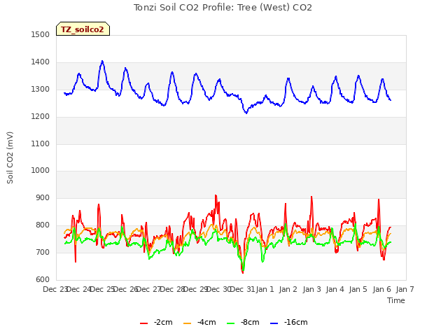 plot of Tonzi Soil CO2 Profile: Tree (West) CO2