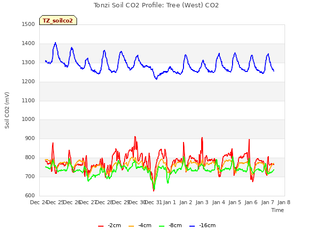 plot of Tonzi Soil CO2 Profile: Tree (West) CO2