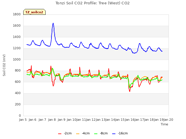 plot of Tonzi Soil CO2 Profile: Tree (West) CO2