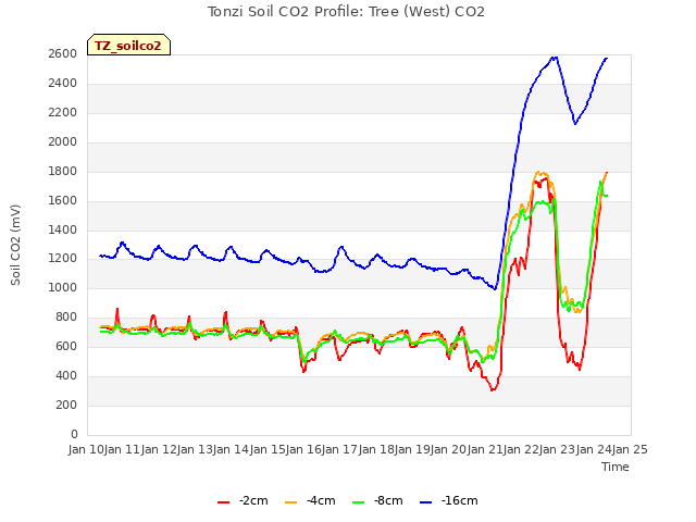 plot of Tonzi Soil CO2 Profile: Tree (West) CO2