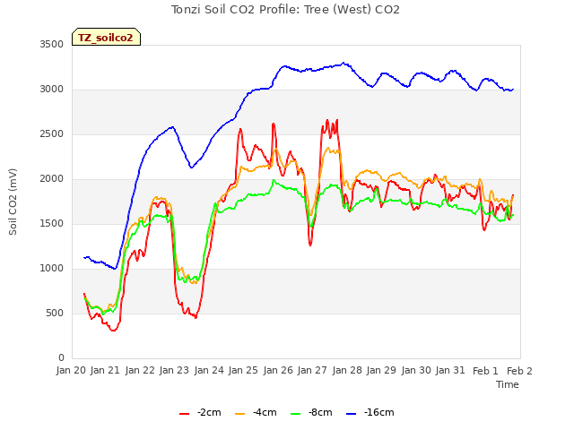 plot of Tonzi Soil CO2 Profile: Tree (West) CO2