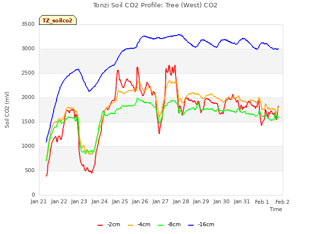 plot of Tonzi Soil CO2 Profile: Tree (West) CO2