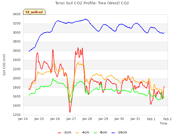 plot of Tonzi Soil CO2 Profile: Tree (West) CO2