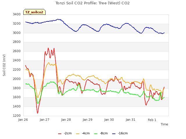 plot of Tonzi Soil CO2 Profile: Tree (West) CO2