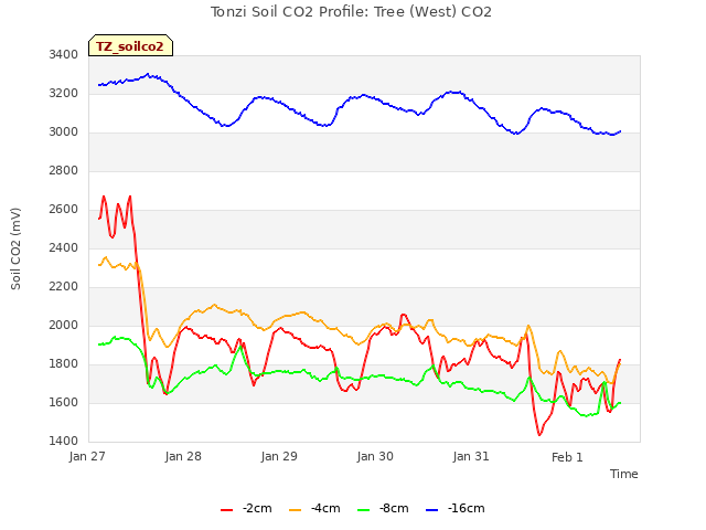 plot of Tonzi Soil CO2 Profile: Tree (West) CO2