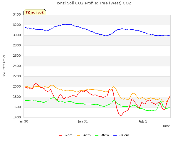 plot of Tonzi Soil CO2 Profile: Tree (West) CO2