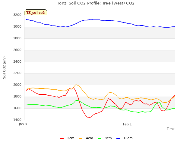 plot of Tonzi Soil CO2 Profile: Tree (West) CO2