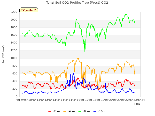 plot of Tonzi Soil CO2 Profile: Tree (West) CO2