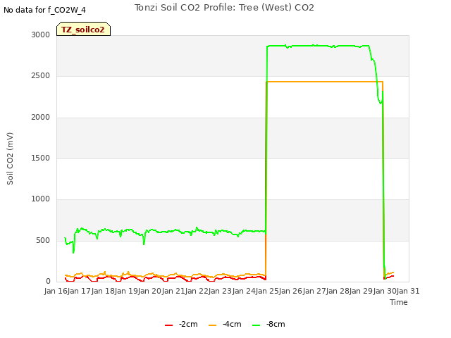 plot of Tonzi Soil CO2 Profile: Tree (West) CO2