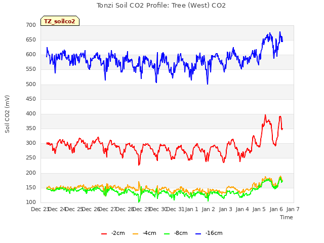 plot of Tonzi Soil CO2 Profile: Tree (West) CO2