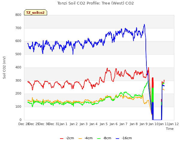 plot of Tonzi Soil CO2 Profile: Tree (West) CO2