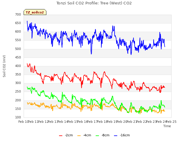 plot of Tonzi Soil CO2 Profile: Tree (West) CO2