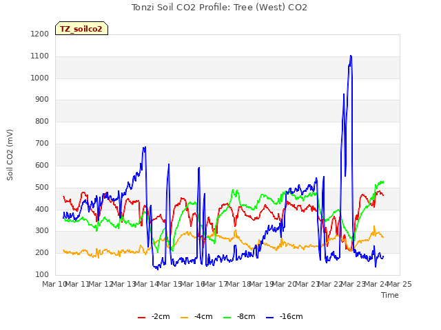 plot of Tonzi Soil CO2 Profile: Tree (West) CO2