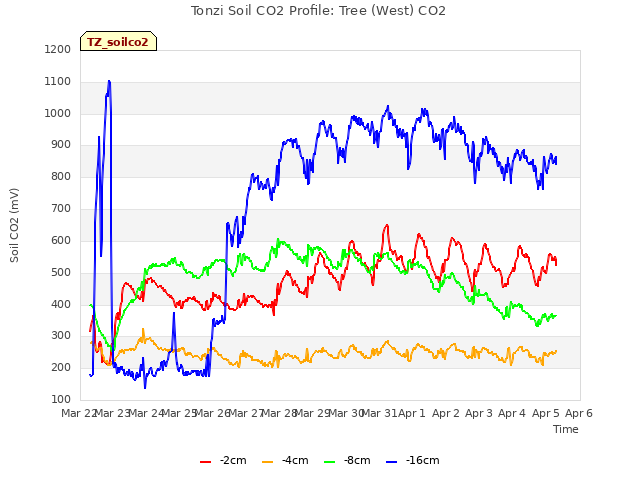 plot of Tonzi Soil CO2 Profile: Tree (West) CO2