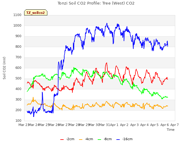 plot of Tonzi Soil CO2 Profile: Tree (West) CO2