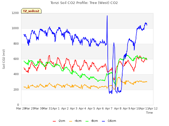 plot of Tonzi Soil CO2 Profile: Tree (West) CO2