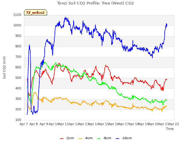 plot of Tonzi Soil CO2 Profile: Tree (West) CO2