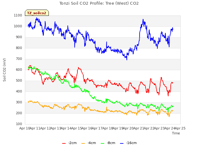 plot of Tonzi Soil CO2 Profile: Tree (West) CO2