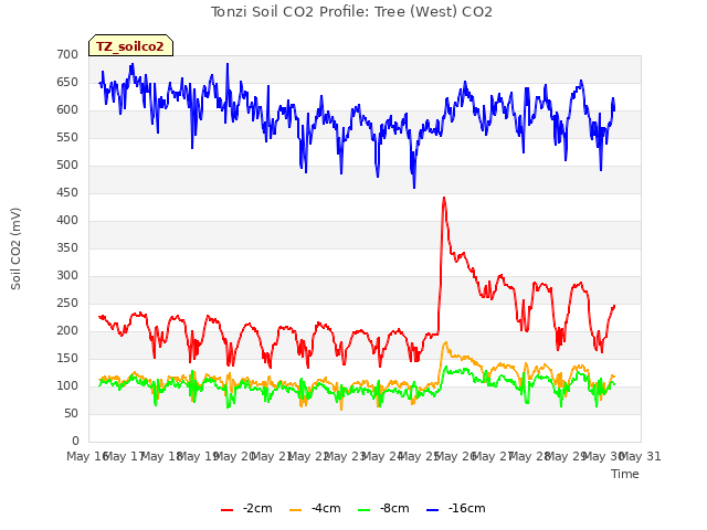 plot of Tonzi Soil CO2 Profile: Tree (West) CO2