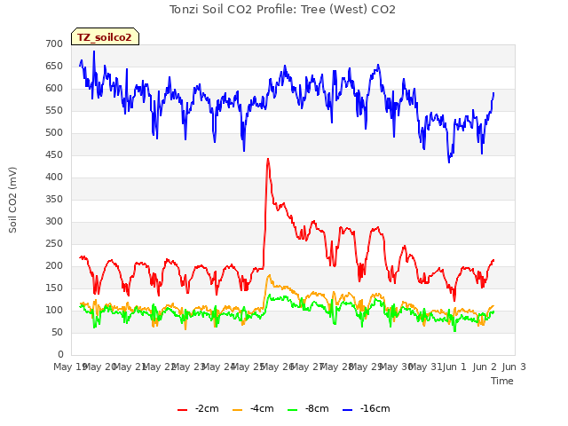 plot of Tonzi Soil CO2 Profile: Tree (West) CO2