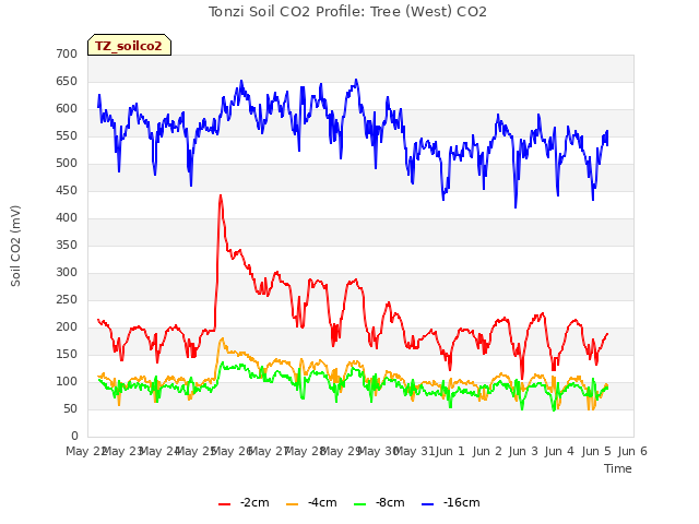 plot of Tonzi Soil CO2 Profile: Tree (West) CO2